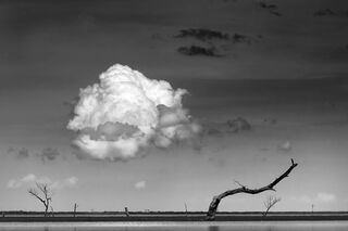 Swatting the Cloud, North Dakota