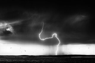 LIghtning and Gulls, Wyoming