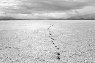 Coyote Tracks, Death Valley