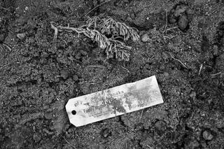 Identification Tag, Manzanar National Historic Site