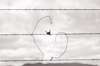 Origami Crane on Border Fence