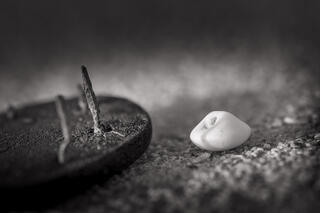 Child's Shoe and Button Found in Close Proximity