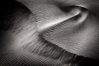 Dune Arrow