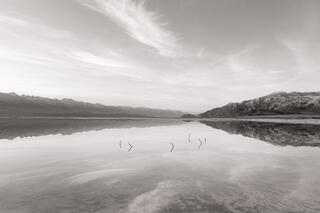 six posts in a flooded field, Owens Lake