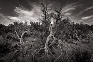  Reclamation