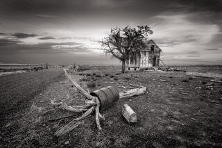 Fallen tree inside a 55-gallon drum near an old building, Utah