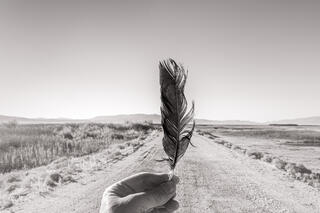Feather, Owens Lake
