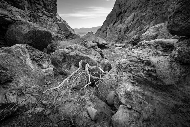 Canyon View print