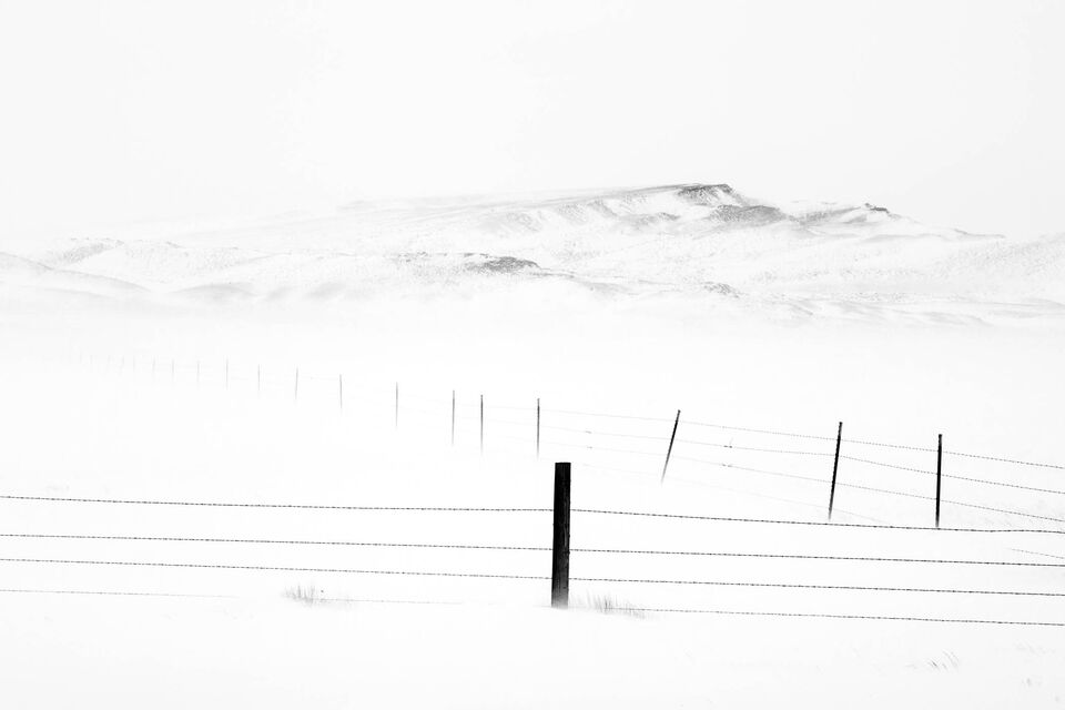 Fence Post in Ground Blizzard print