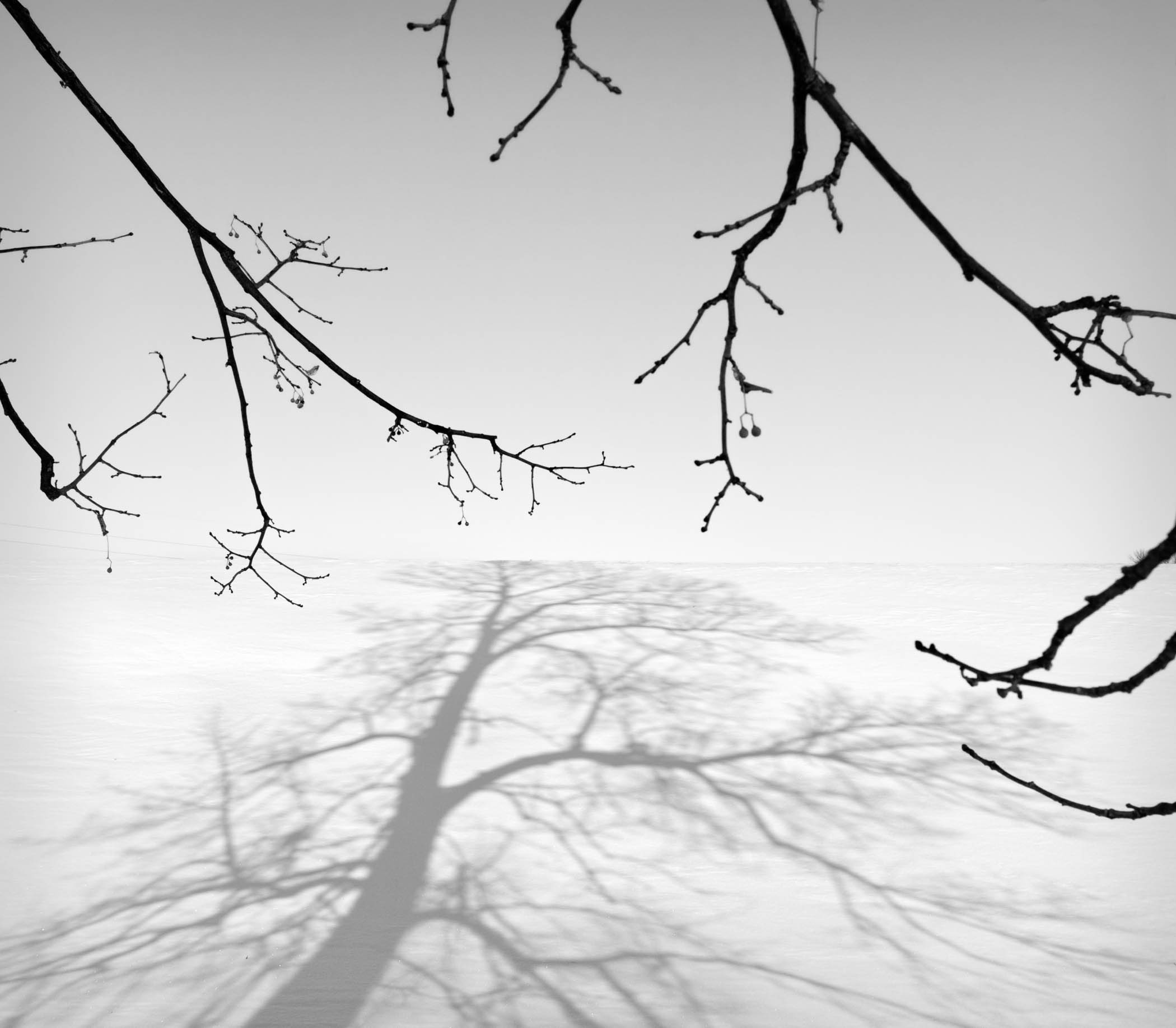 Chuck Kimmerle