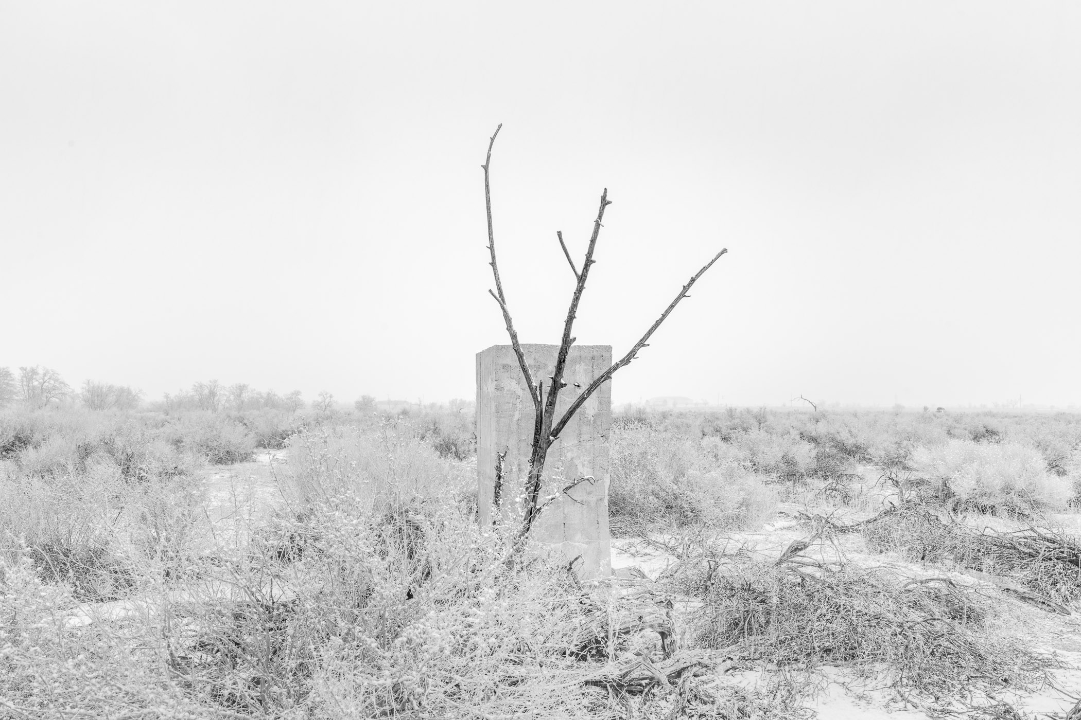 Manzanar, California