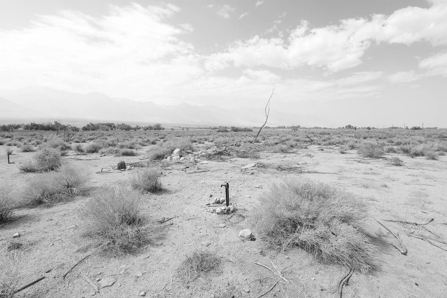 Manzanar, California
