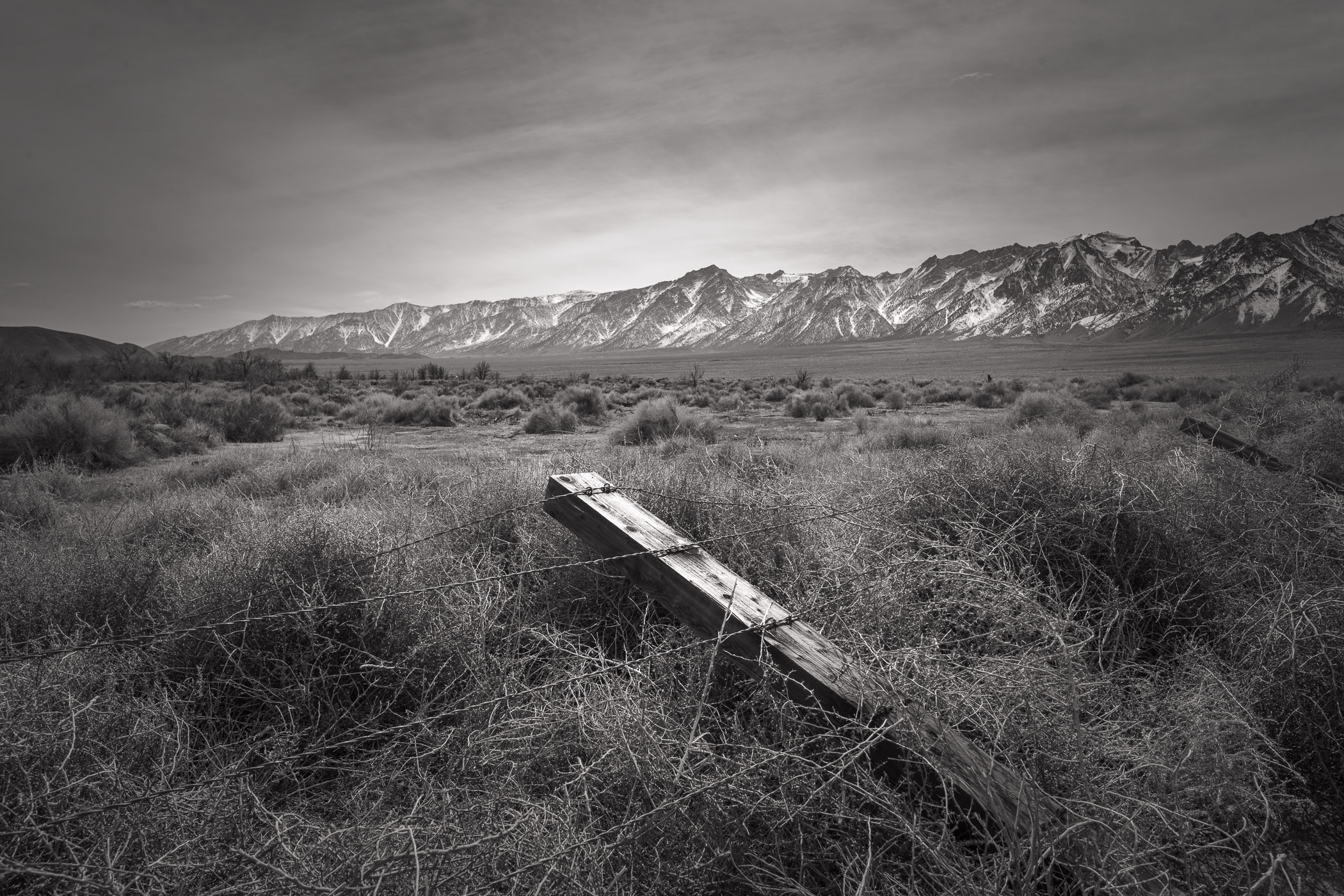 Broken fence post, Manzanar National Historic Site