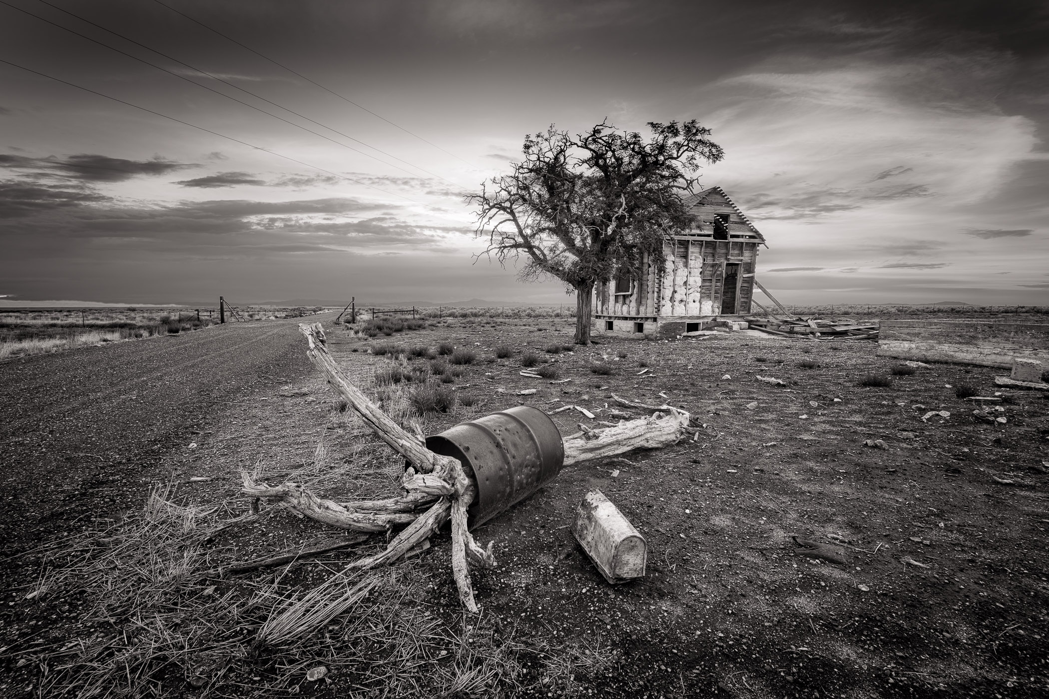 Canned Tree .farm, Delta, Utah, ghost